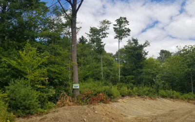 1.5 Acres – Lot 6 – Lincoln, ME – Penobscot County