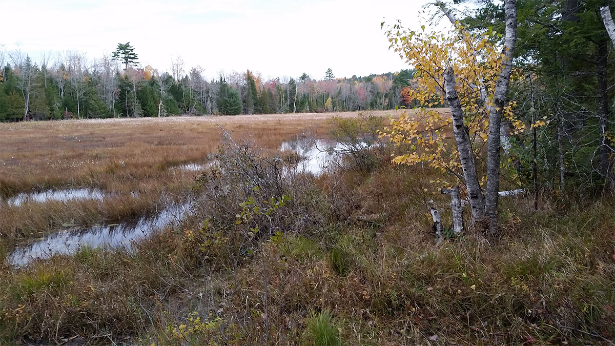5.31 Acres – Lincoln, ME – Penobscot County