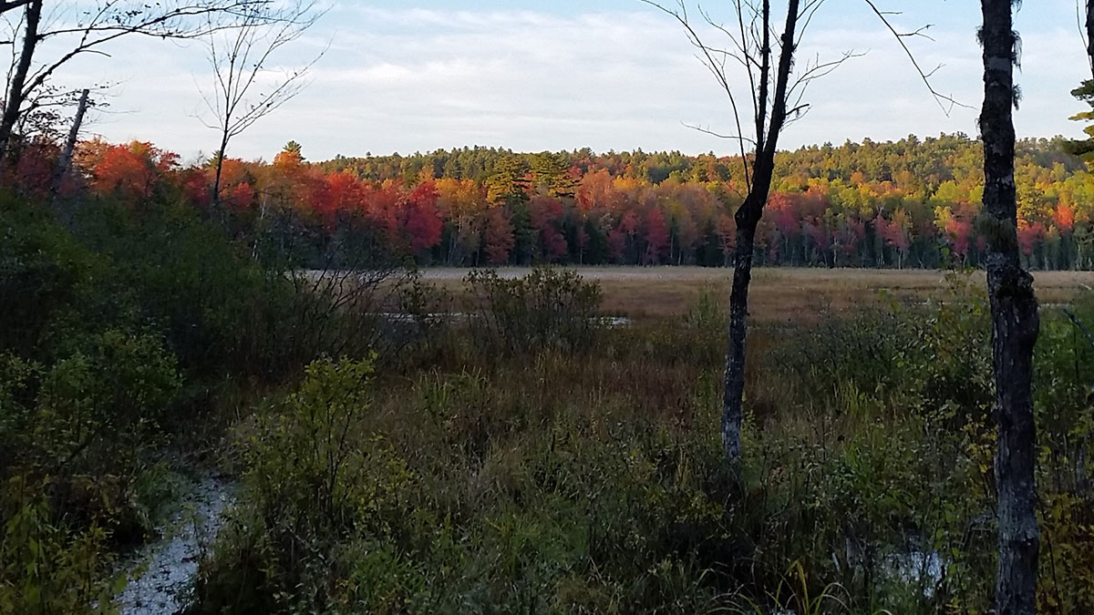 5.31 Acres – Lincoln, ME – Penobscot County
