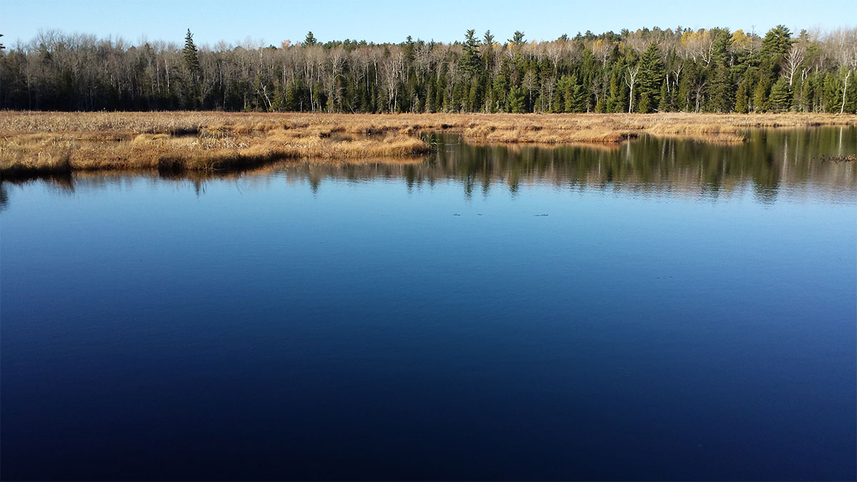 3.93 Acres – Lincoln, ME – Penobscot County