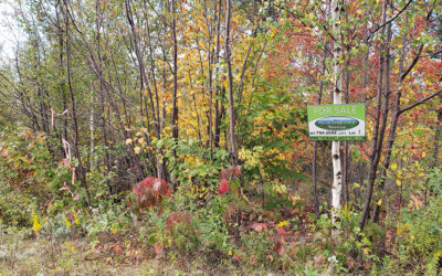 17.1 Acres – Burlington, ME – Penobscot County