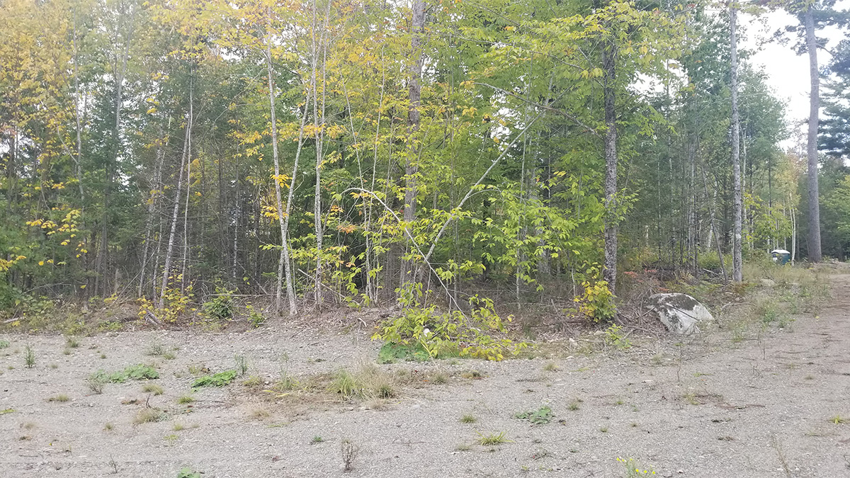 TMLS1044 - Photo of 2.03 Acre Lot in Lincoln