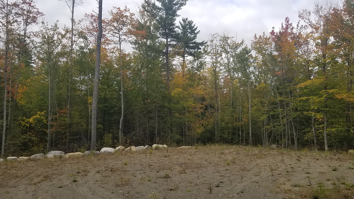 TMLS1044 - Photo of 2.03 Acre Lot in Lincoln