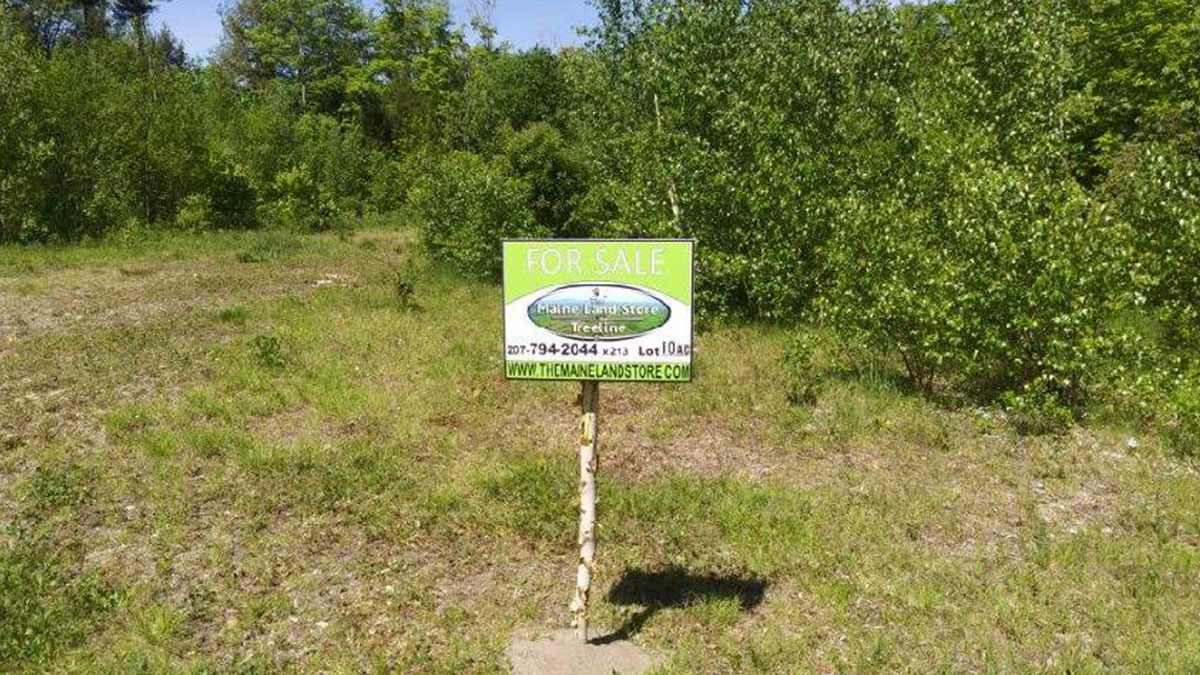 TMLS1063 - Photo of 10 Acre Lot in Woodville