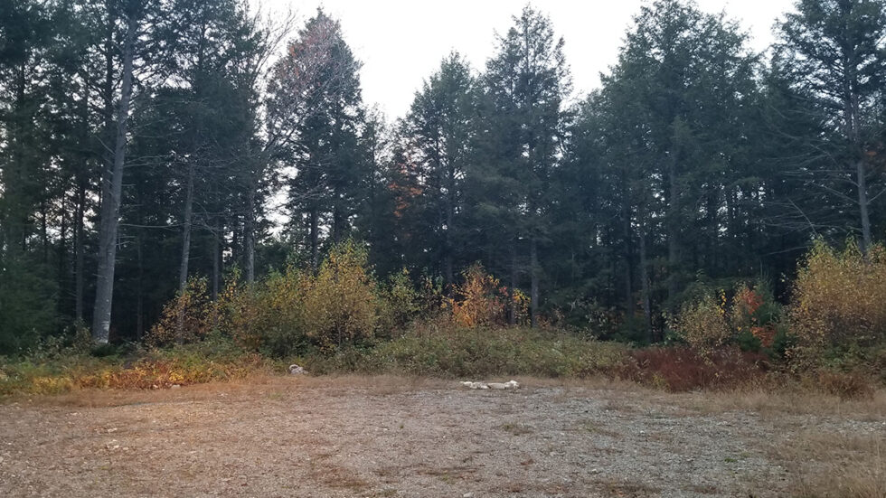 7.4 Acres Of Land For Sale In Burlington, Maine Penobscot County