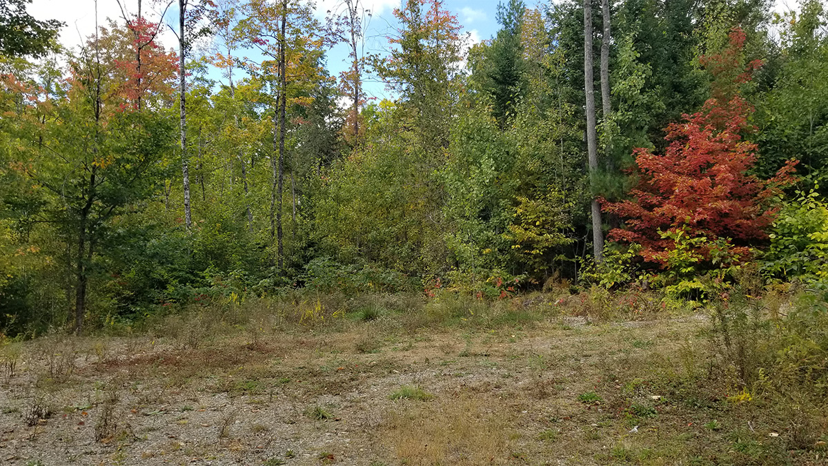 TMLS1108 - Photo of 3.7 Acre Lot in Lee