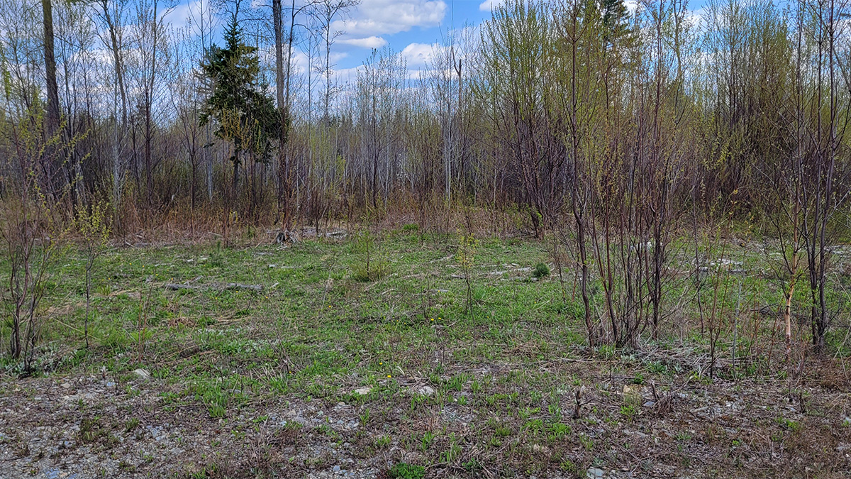 TMLS1128 - Photo of 6.5 Acre Lot in Crystal