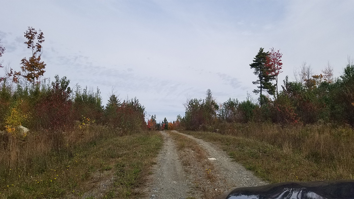 TMLS1129 - Photo of 4.4 Acre Lot in Crystal