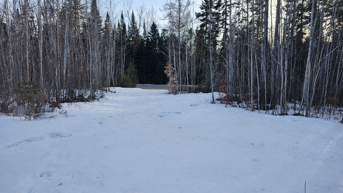 4.4 Acres – Crystal, ME – Hancock County