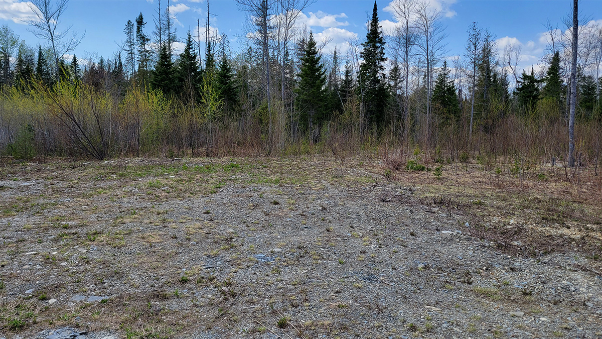TMLS1130 - Photo of 8.1 Acre Lot in Crystal