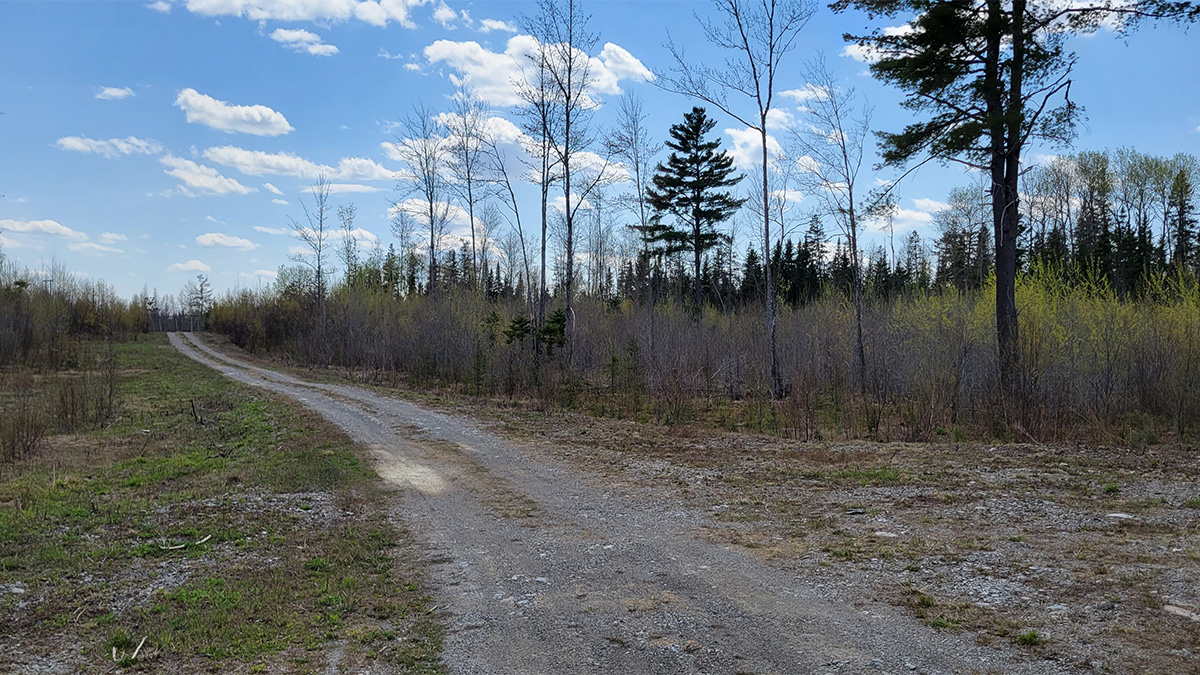 TMLS1130 - Photo of 8.1 Acre Lot in Crystal