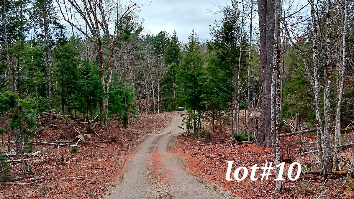 4.61 Acres – Lee, ME – Penobscot County