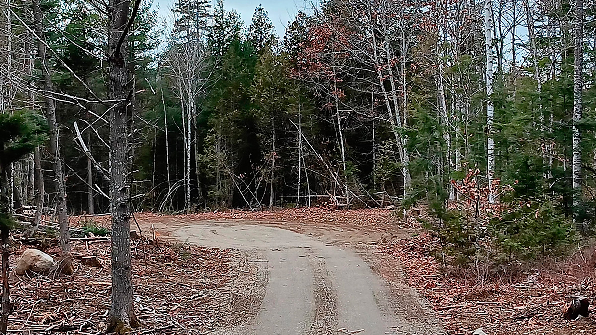 6.05 Acres – Lee, ME – Penobscot County