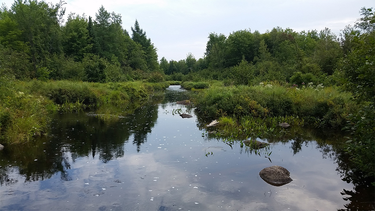 90 Acres – Chester, ME – Penobscot County