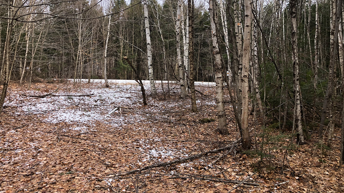 1.25 Acres, Lowell ME – Penobscot County