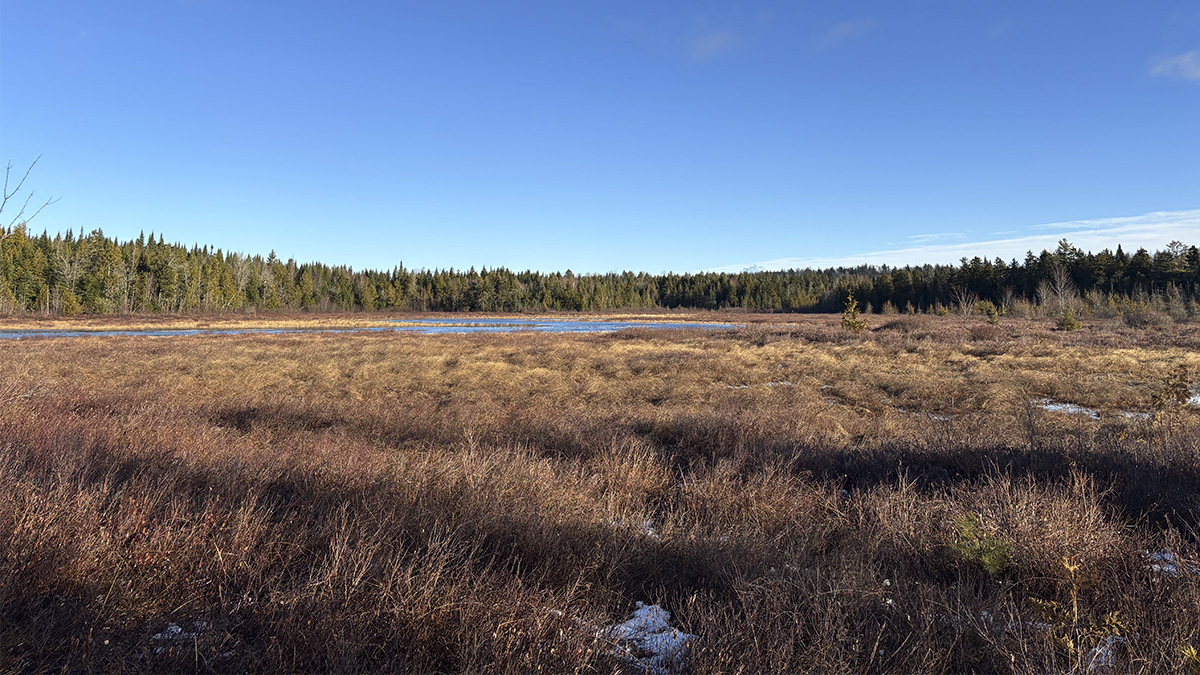 14.2 Acres, Springfield ME – Penobscot County