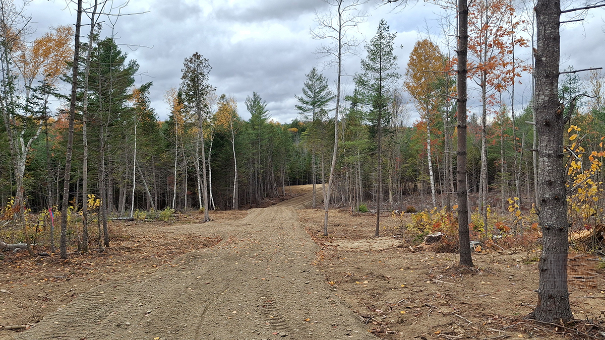 5.4 Acres - Lot 4 – Lee, ME – Penobscot County