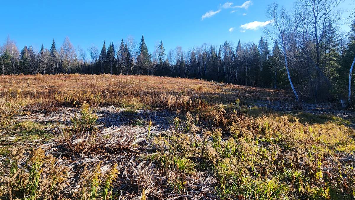 15.4 Acres - Lot 8 – Crystal, ME – Aroostook County