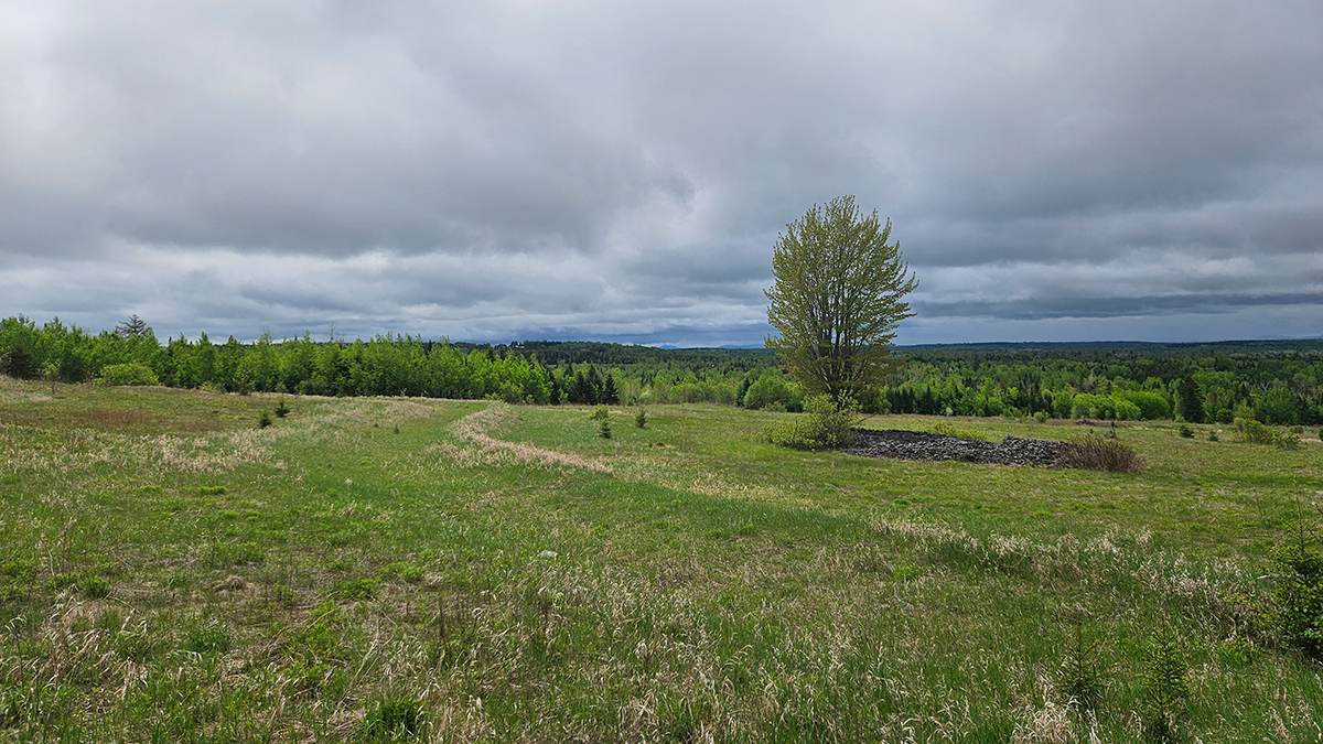 98.1 Acre – Castle Hill, ME – Aroostook County