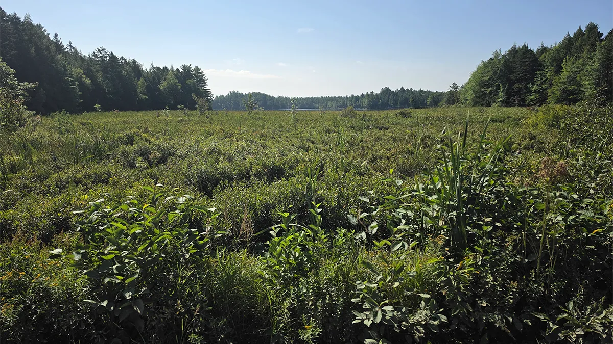 TMLS1196 – 11 Acre Lot in Lakeville, Maine 11 Acres in Lakeville, ME – Penobscot County