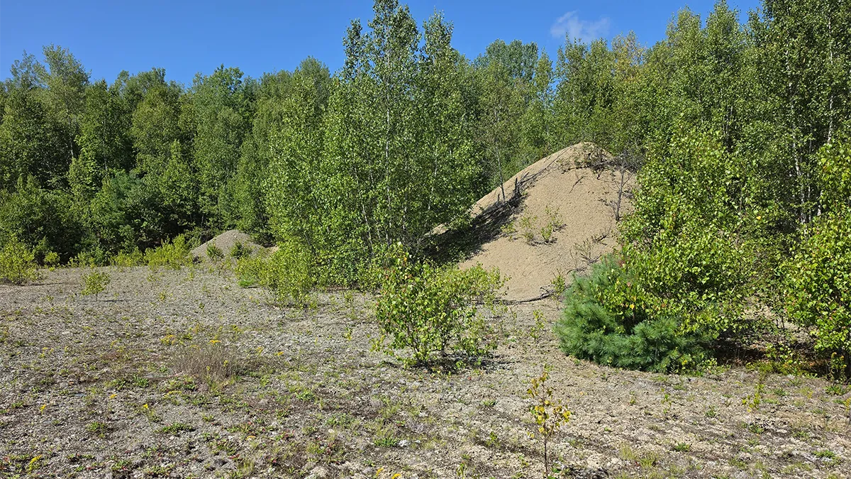 TMLS1197 – 50 Acre Lot in Kossuth, Maine 50 Acres in Kossuth, ME – Washington County