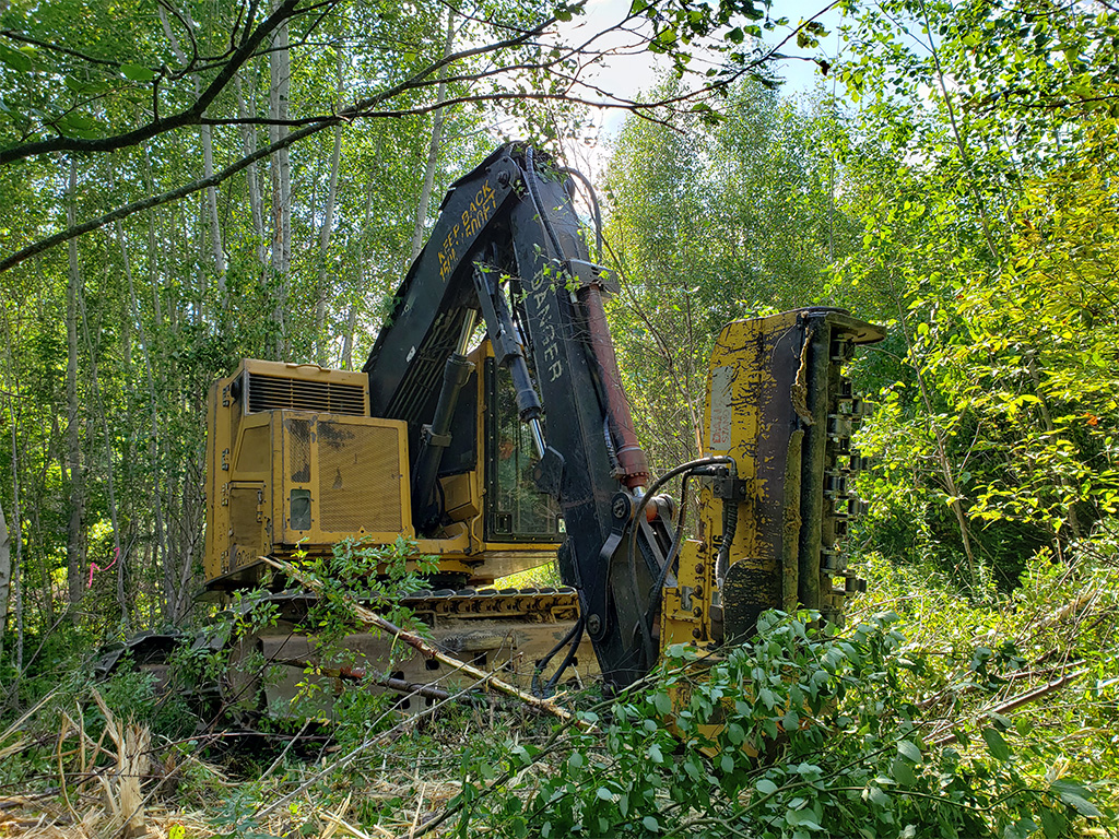 Treeline's Services - Brush Cutting and Roadside Clearing Treeline's Services - Brush Cutting and Roadside Clearing