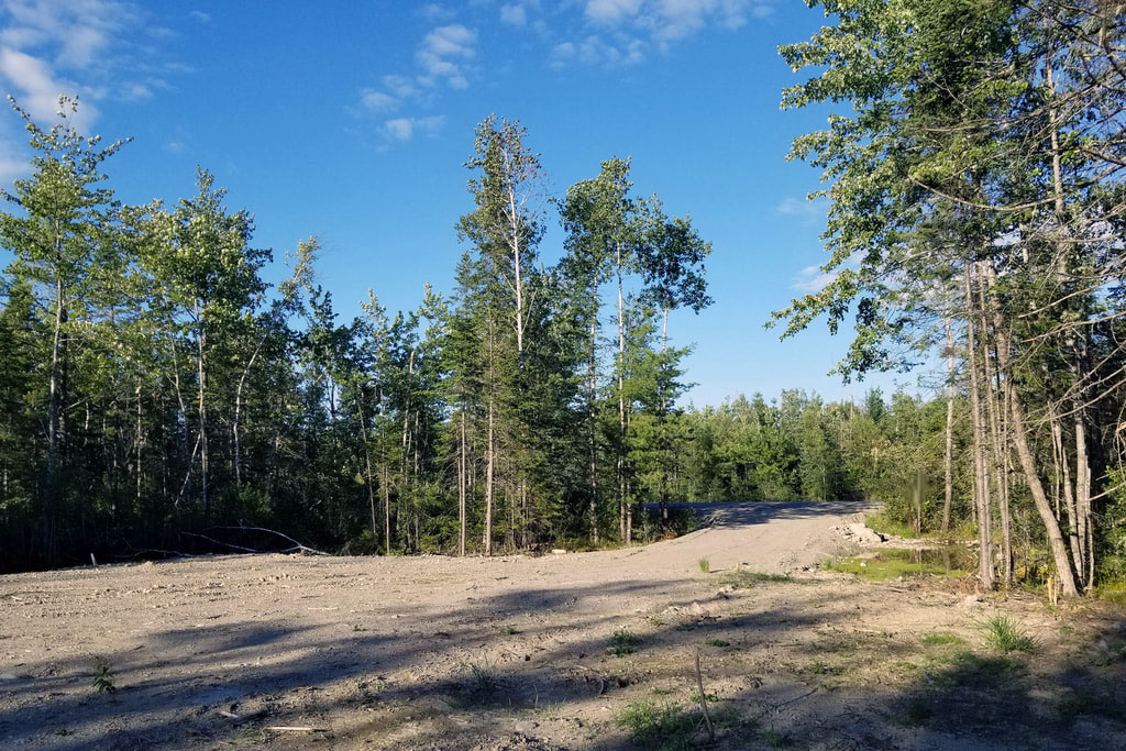 Photo of Camping Site in Howland