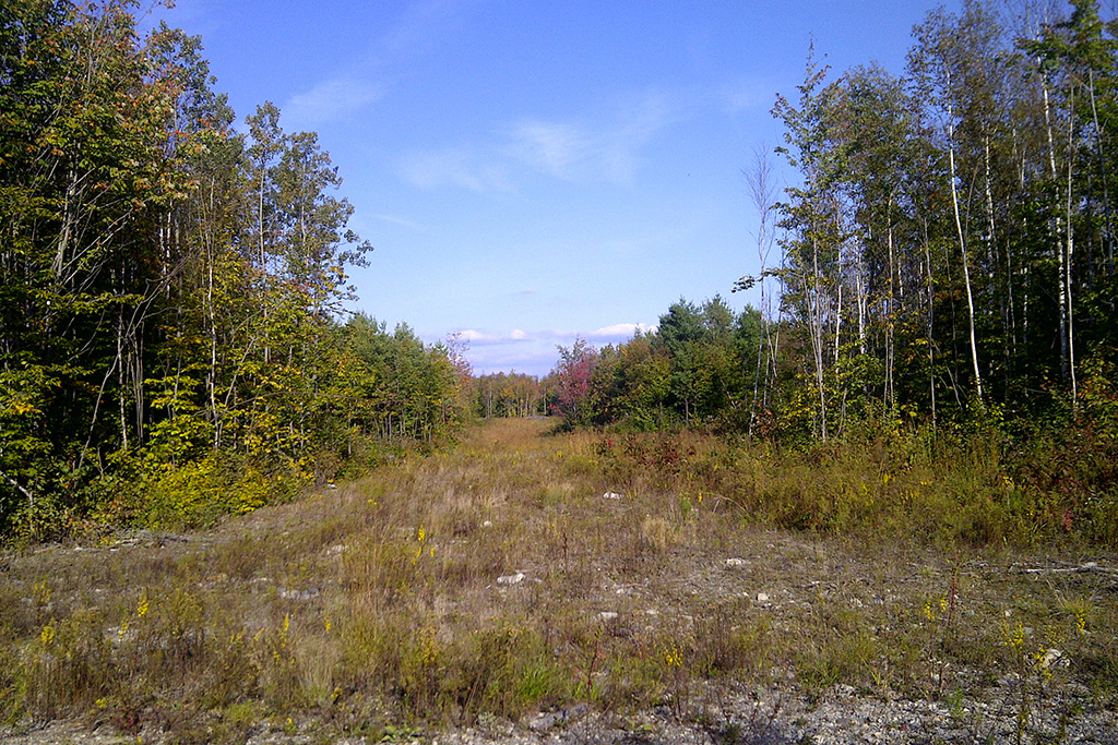 Photo of Lakeview 2400 Acre Camping Permit
