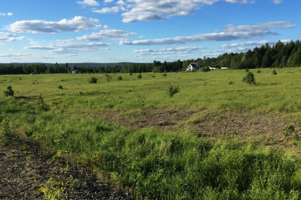 Property Listings The Maine Land Store