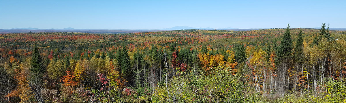 owner-financing-the-maine-land-store