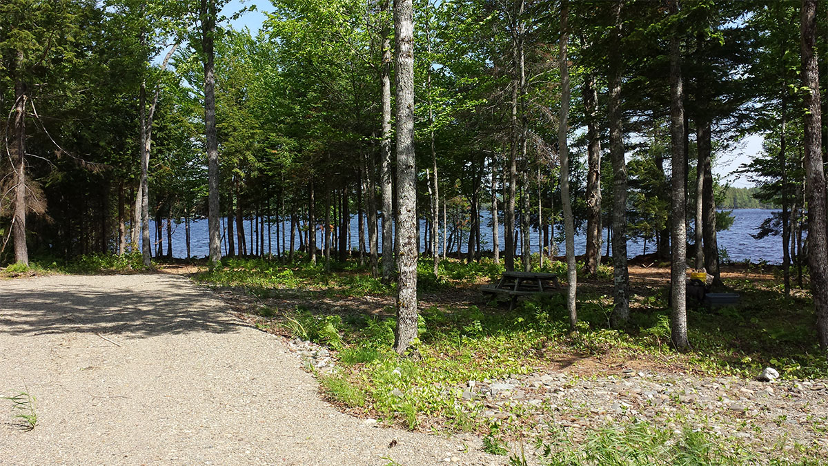 Common Lot on White Point Estates with access to Mattanawcook Lake
