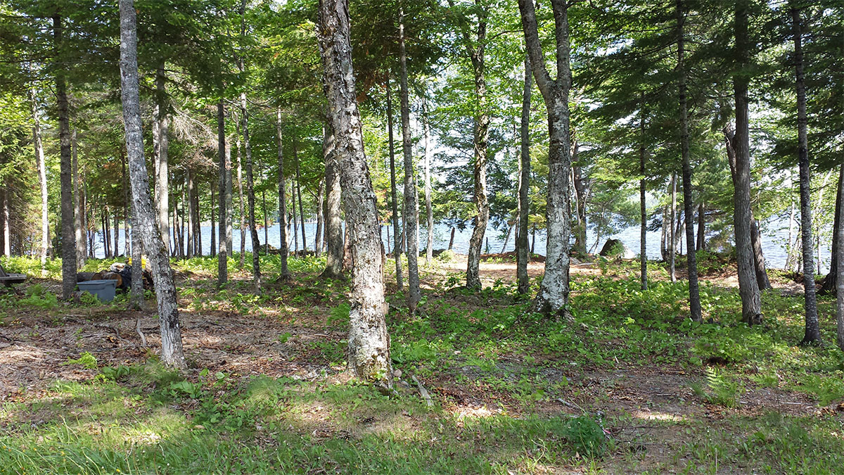 Common Lot on White Point Estates with access to Mattanawcook Lake